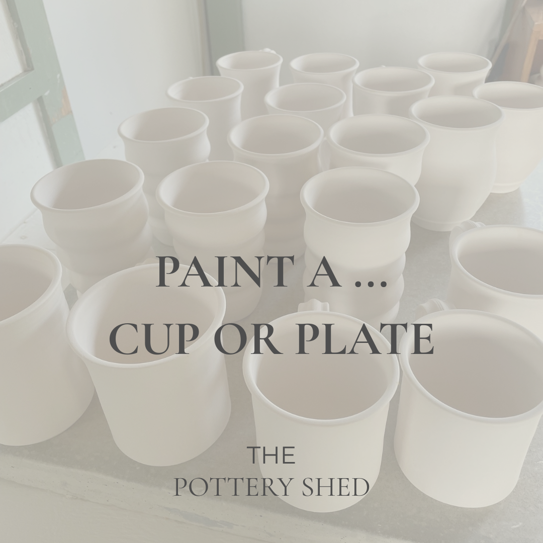 Paint a... Cup or Plate